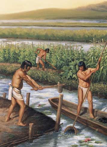 Ancient Mayan Jobs